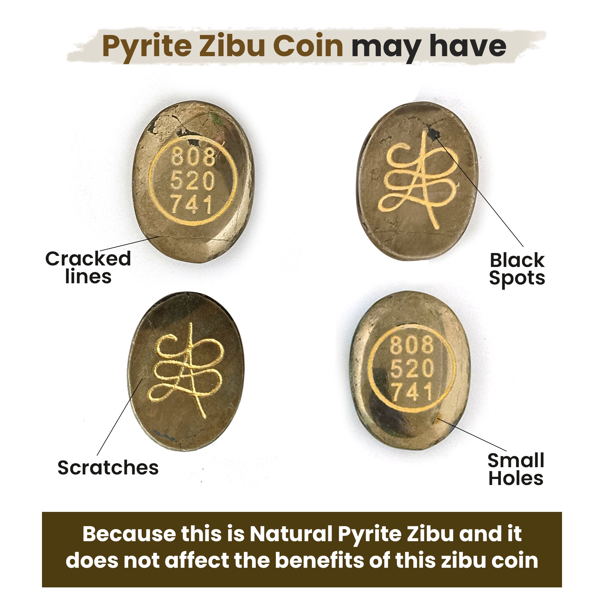 Original Pyrite Zibu Coin